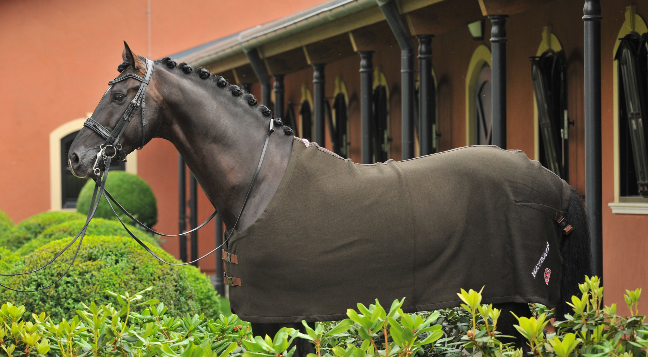 Maybach - Icons of luxury