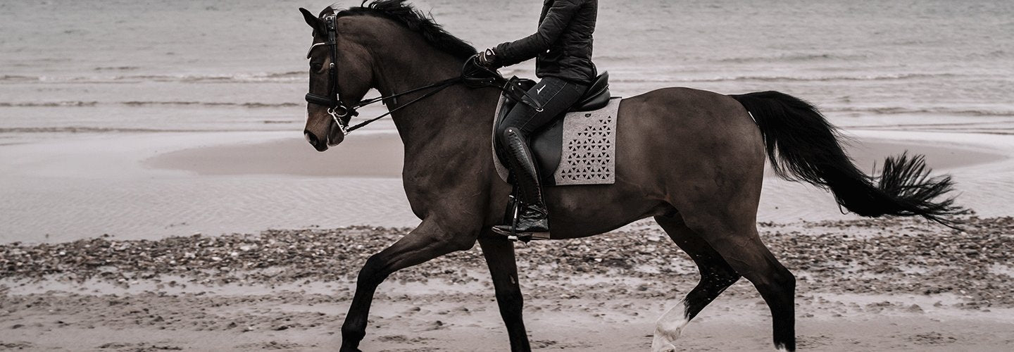 Les Pionniers exklusives Reitsportkonzept Luxus