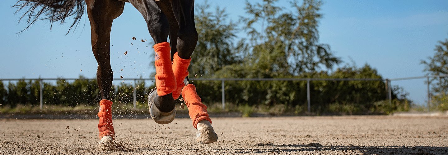 Maybach Bandagen The Safety Beinschutz