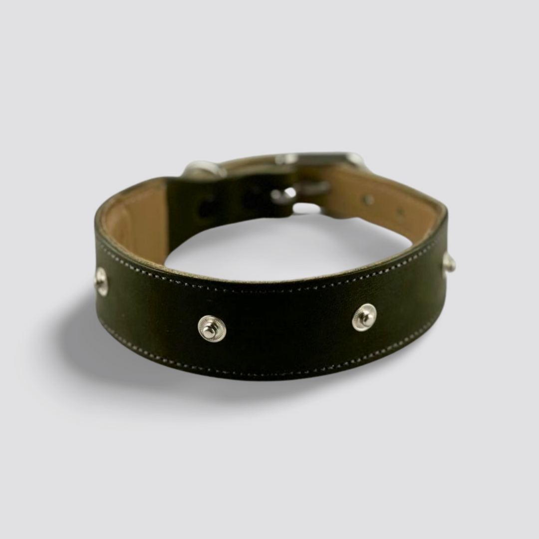 Hundehalsband Snap & Style - Basis