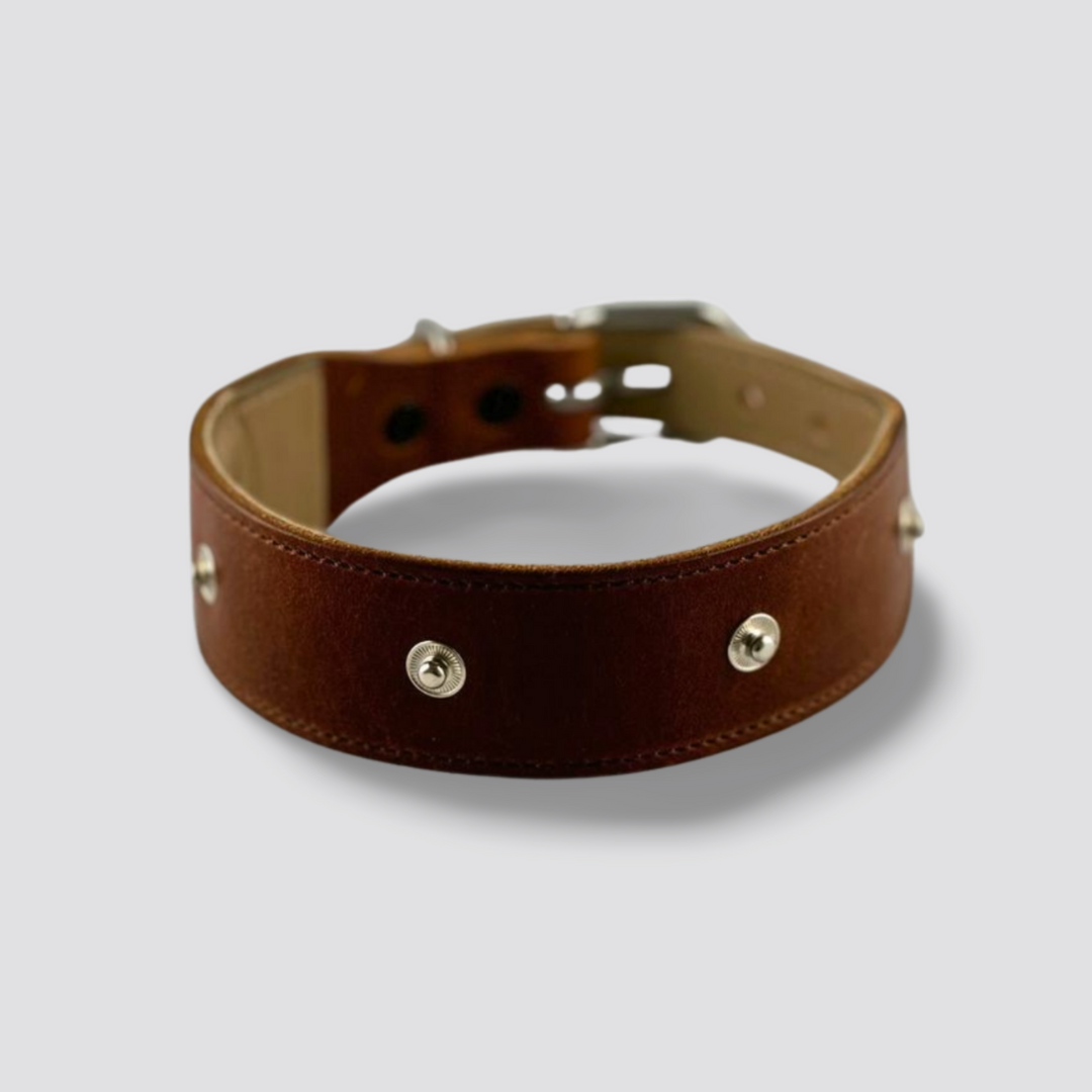 Hundehalsband Snap & Style - Basis