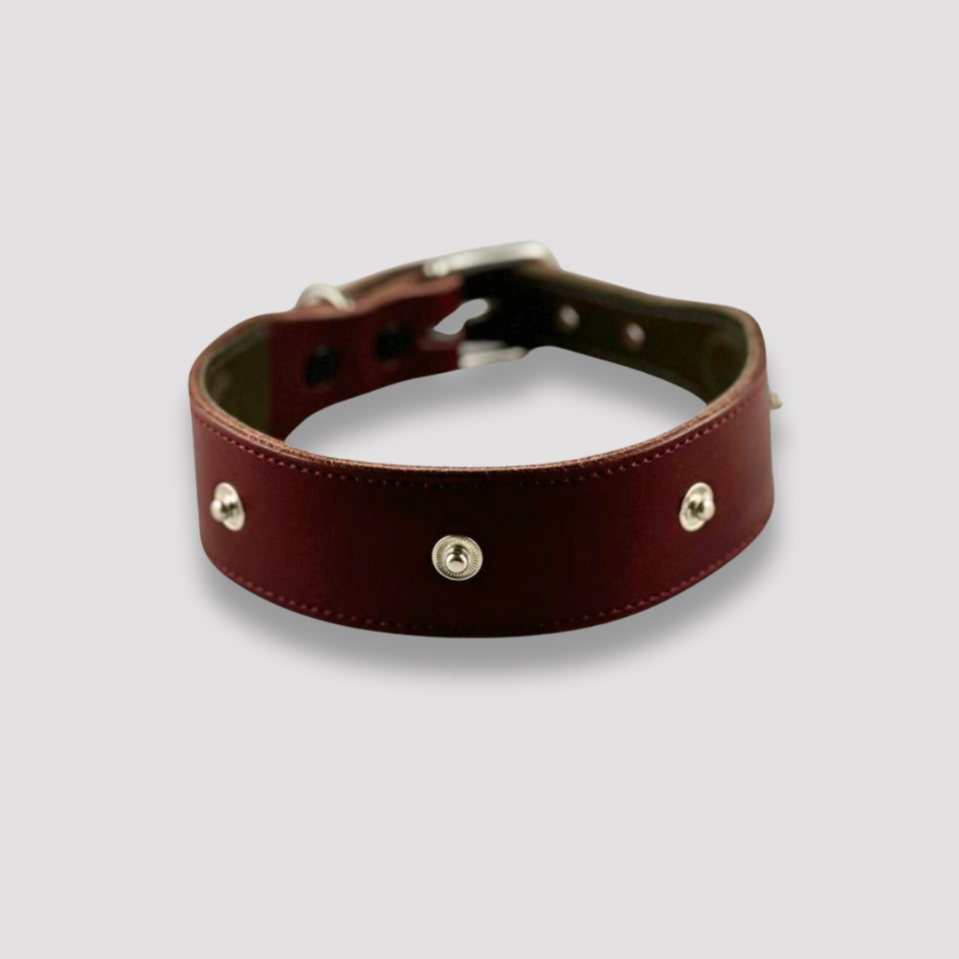 Hundehalsband Snap & Style - Basis