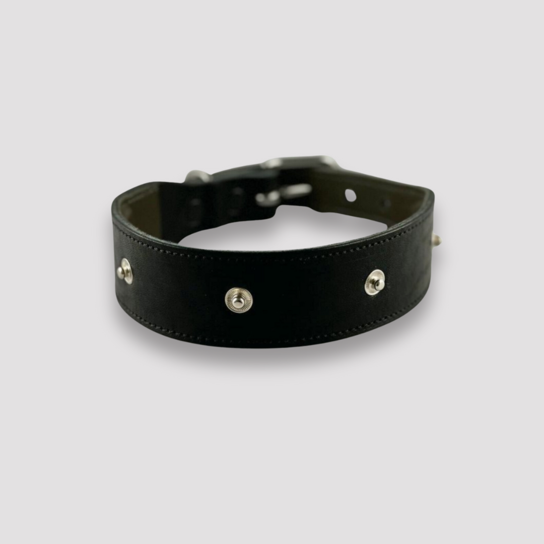 Hundehalsband Snap & Style - Basis