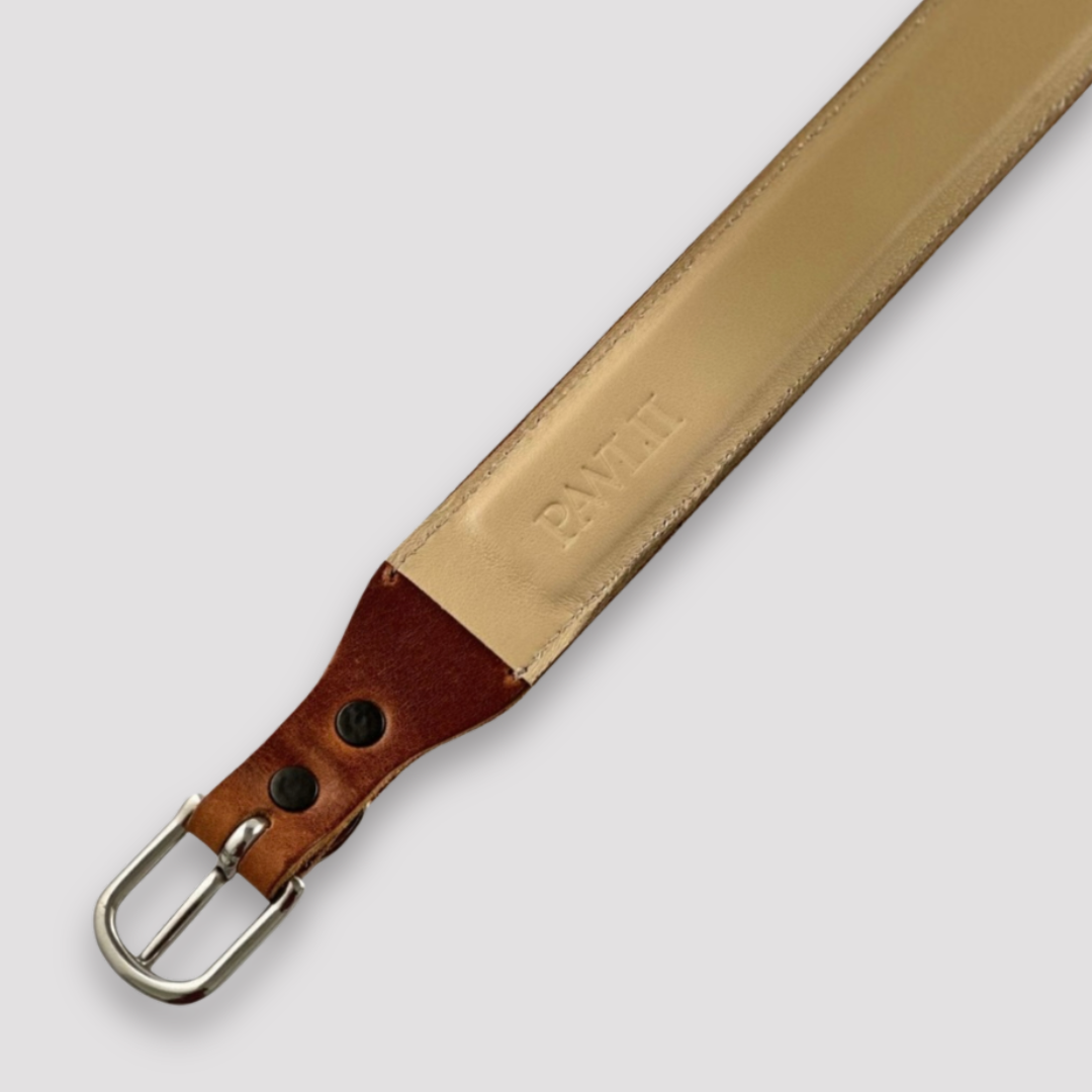 Hundehalsband Snap & Style - Basis