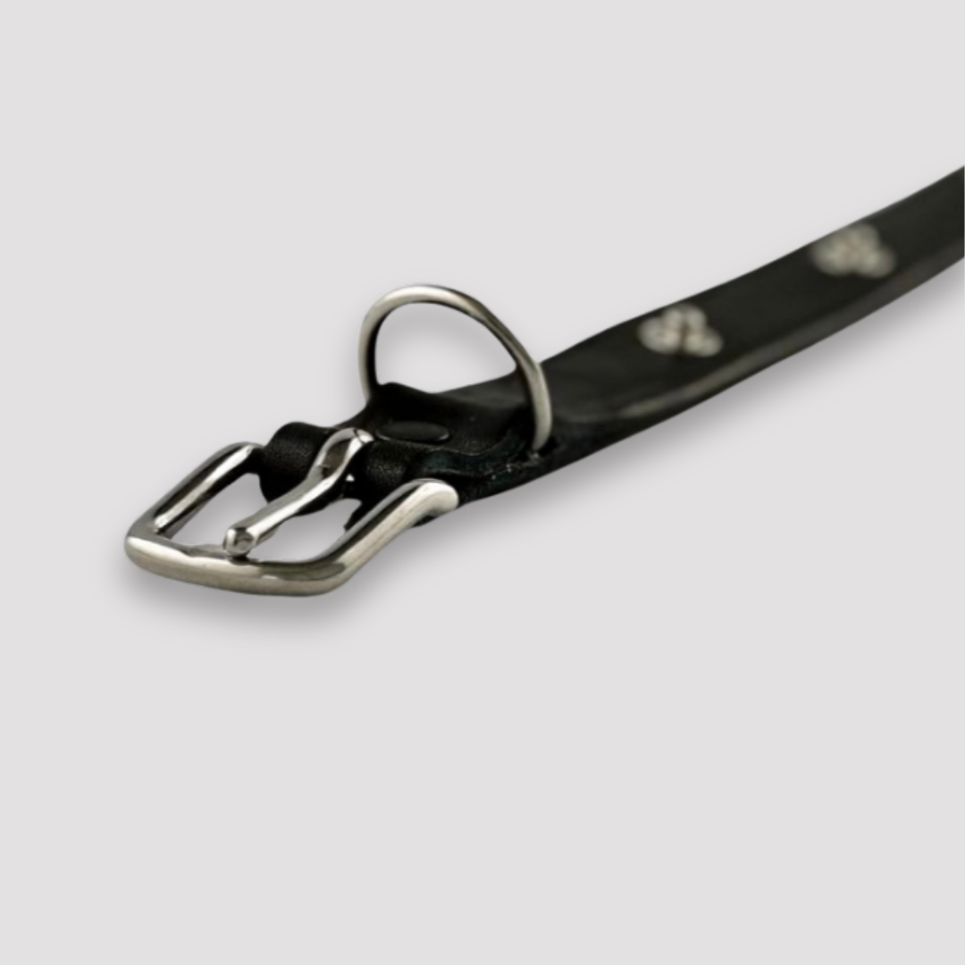Hundehalsband Snap & Style - Basis