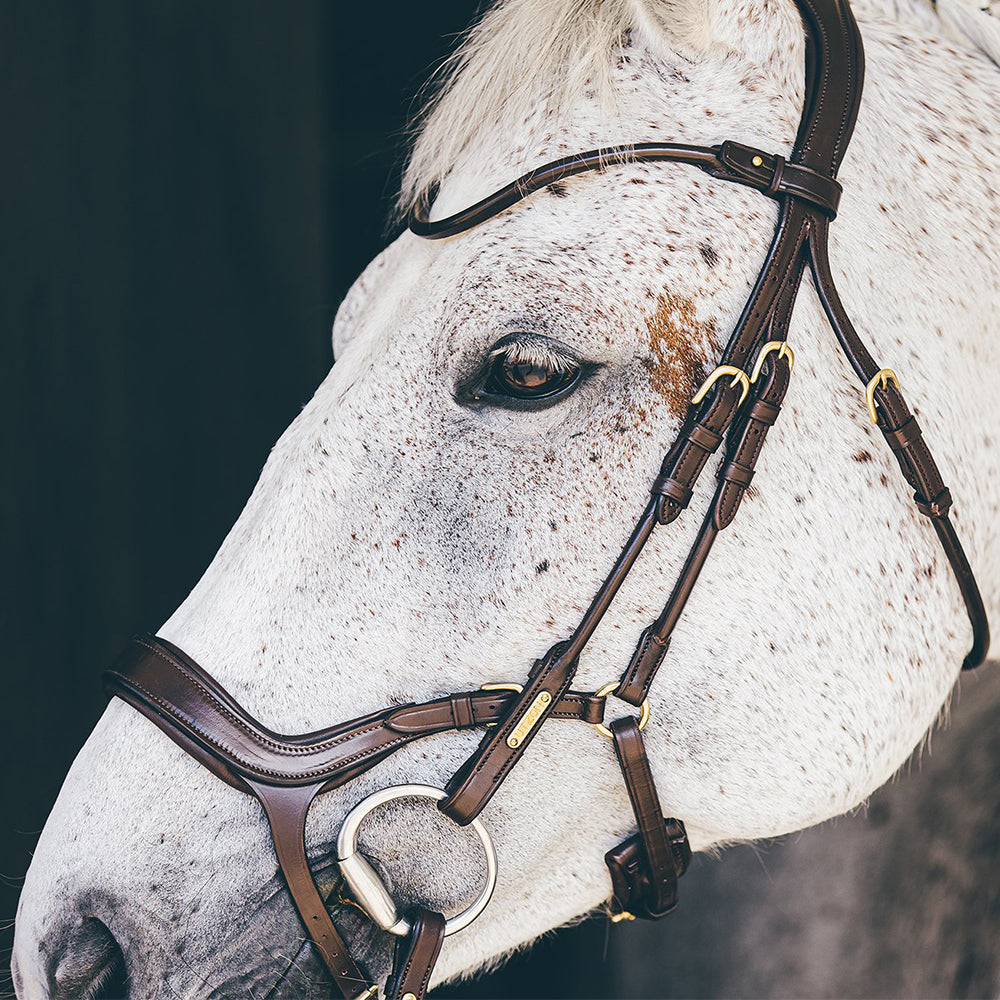 Utzon Equestrian Zaumzeug Bristol braun