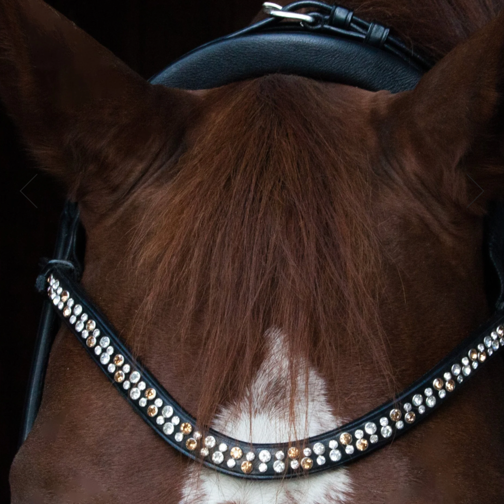 Utzon Equestrian Miami Bridle