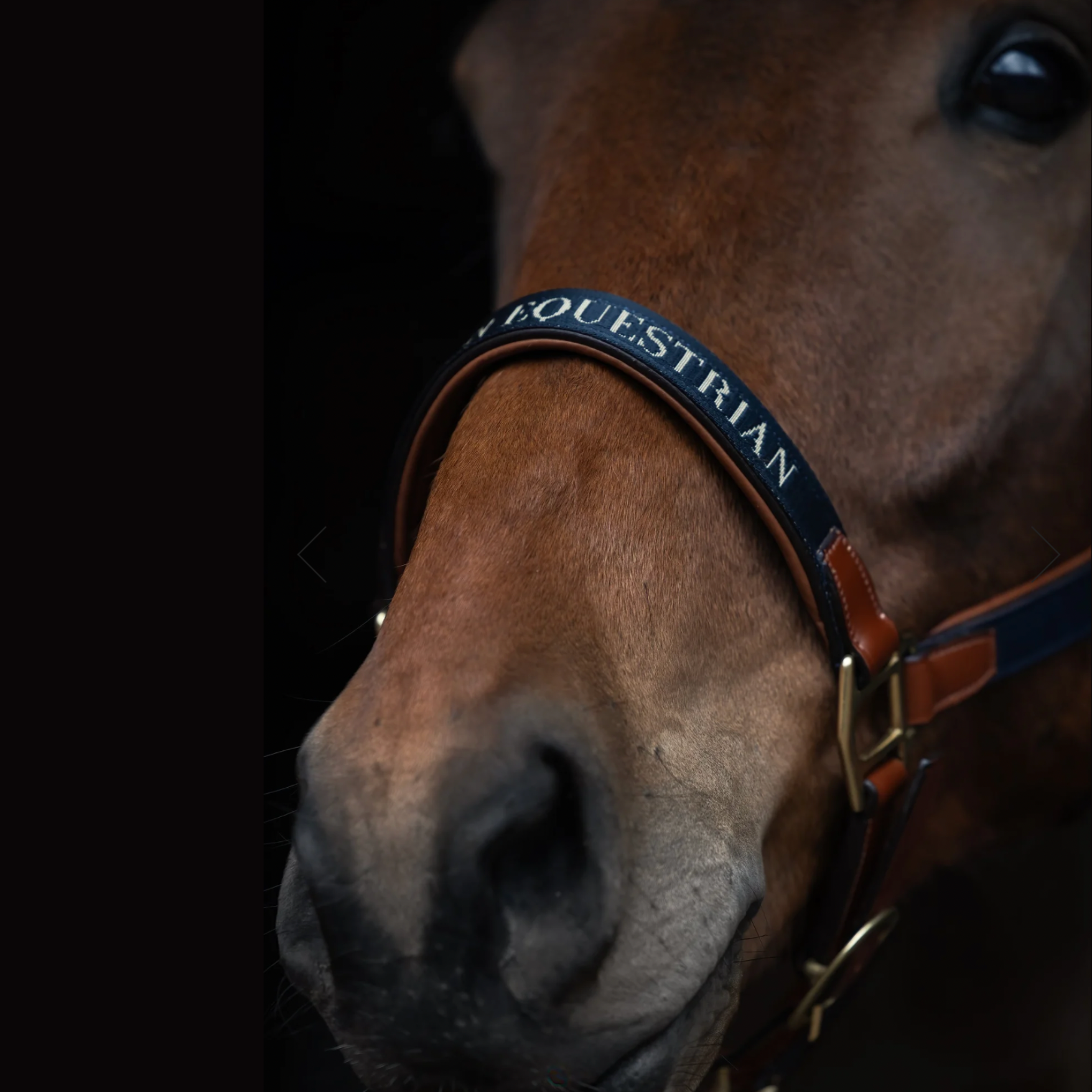 Utzon Equestrian Halfter Paris