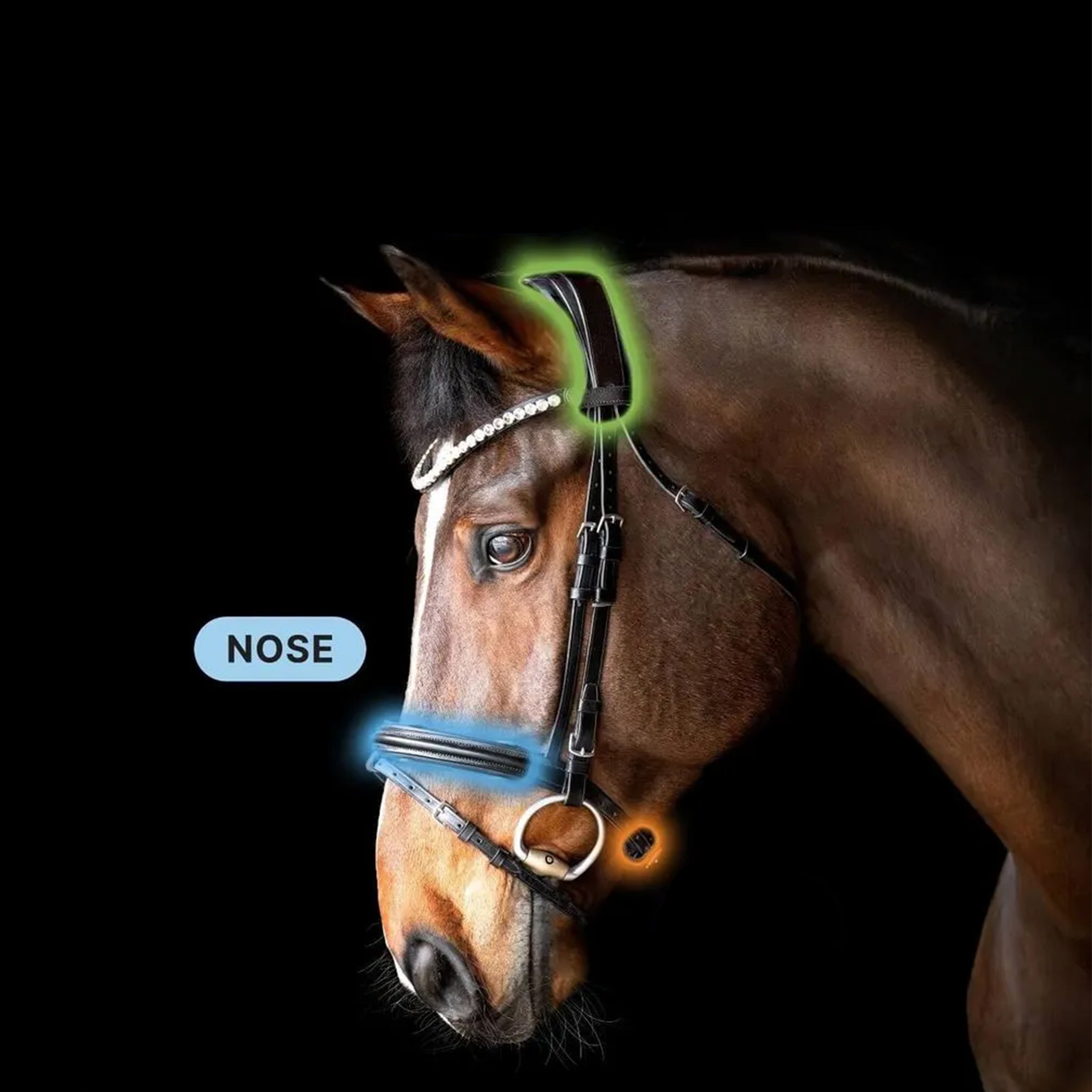 r3vobanD Nasenriemen