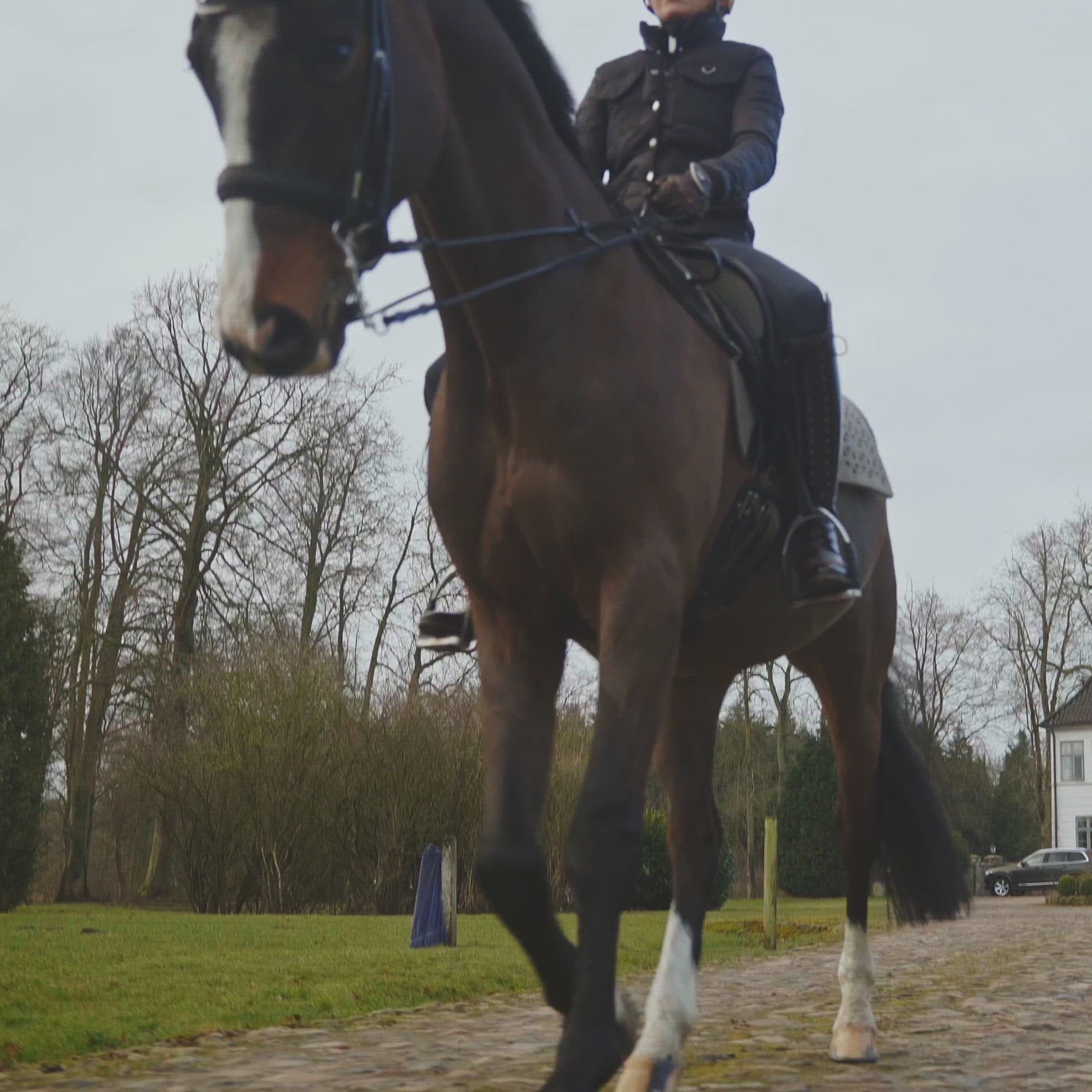utzon kandare olympic double bridle geflochtenes Leder