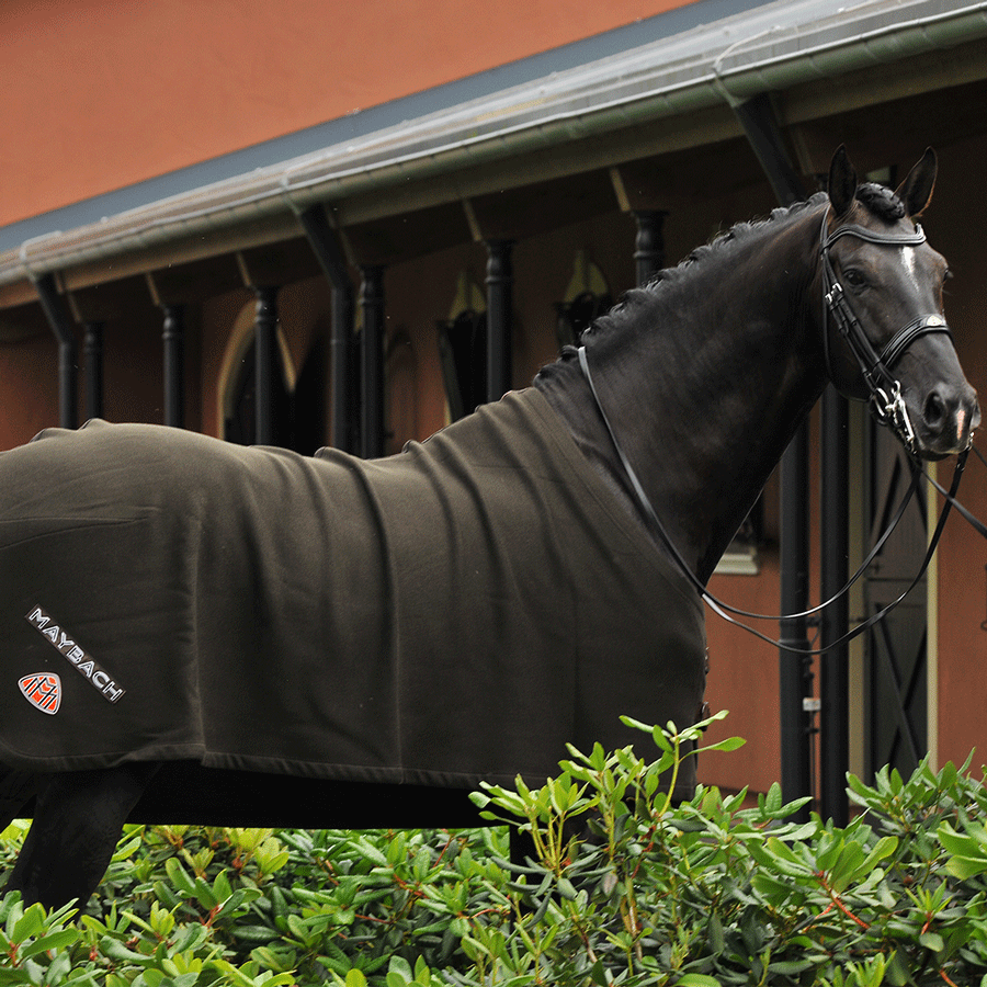 Abschwitzdecke Maybach The Guardian I