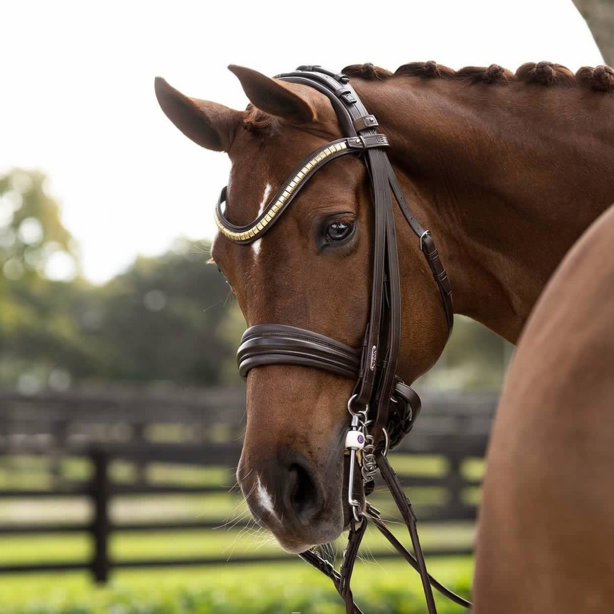 Utzon Equestrian London Double Bridle Kandare braun silber