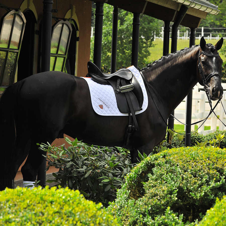 Dressurschabracke The Appearance II, Maybach Saddlery