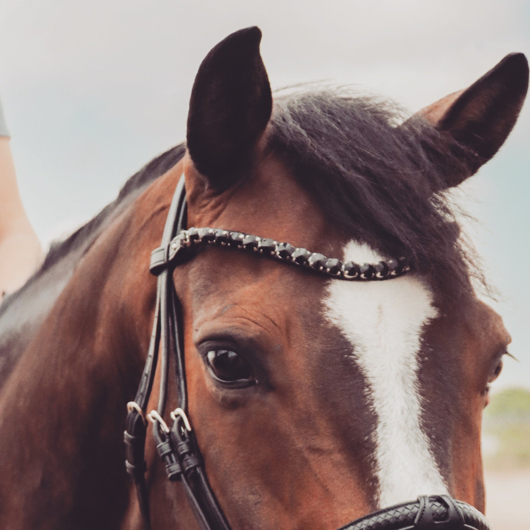 UTZON Stirnriemen Empire Browband
