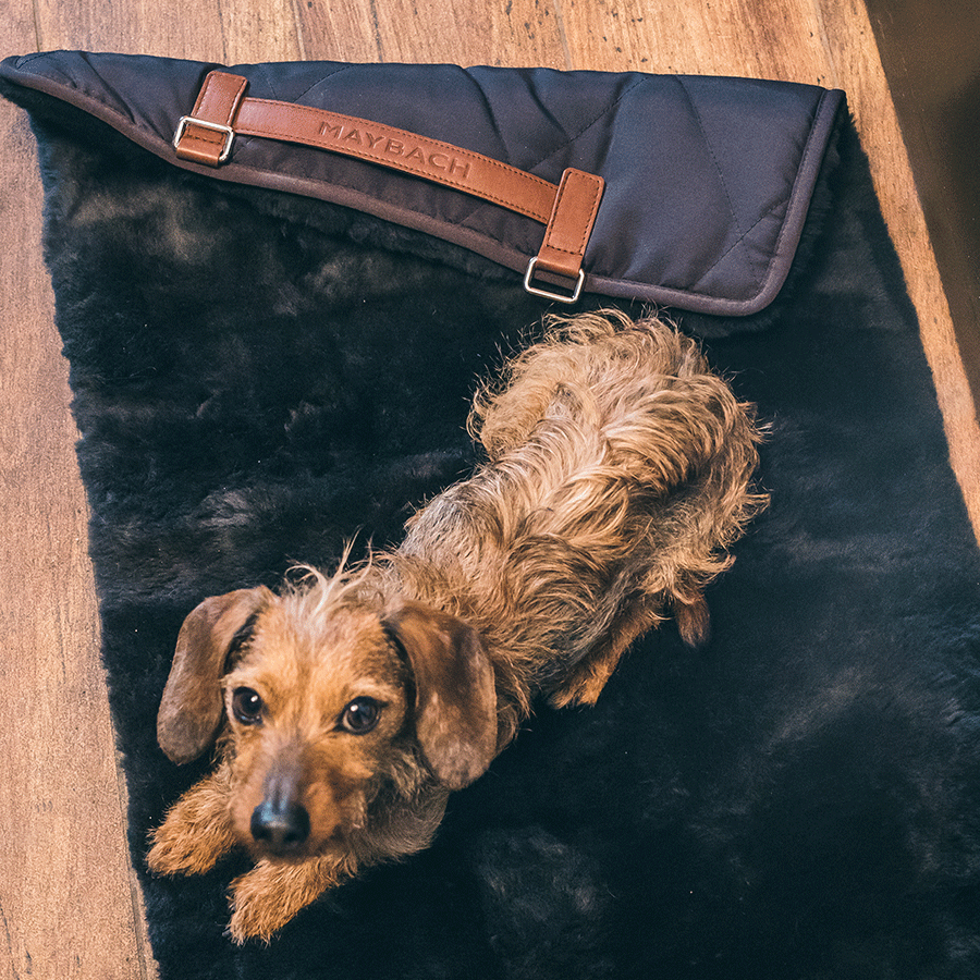 Maybach Hundedecke The Dog's Domain I