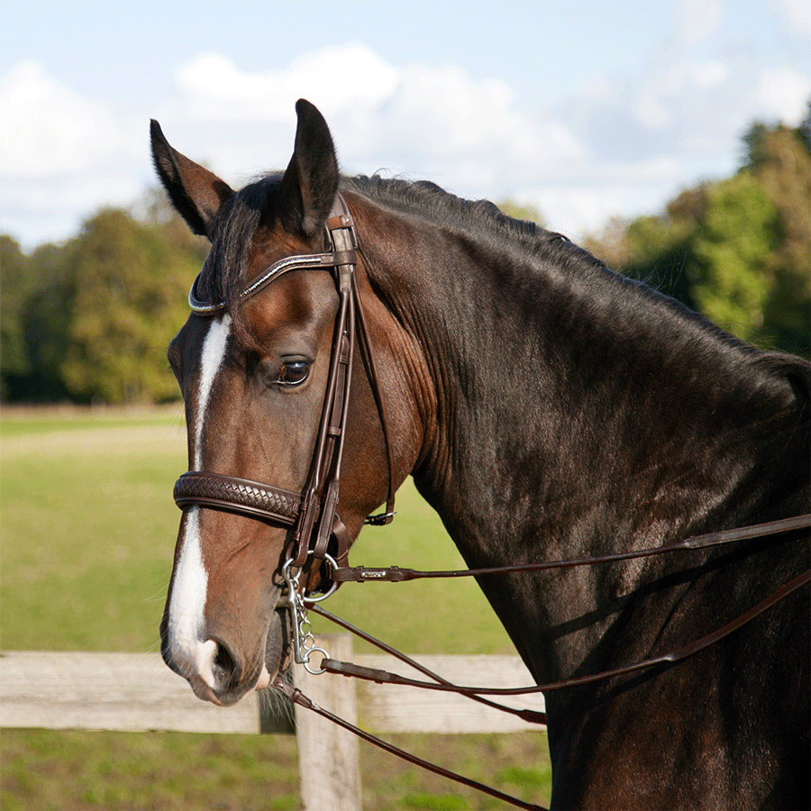 utzon kandare olympic double bridle geflochtenes Leder