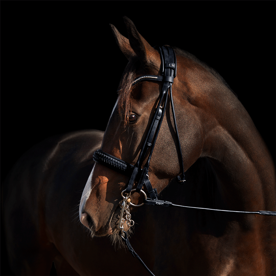 utzon kandare olympic double bridle geflochtenes Leder