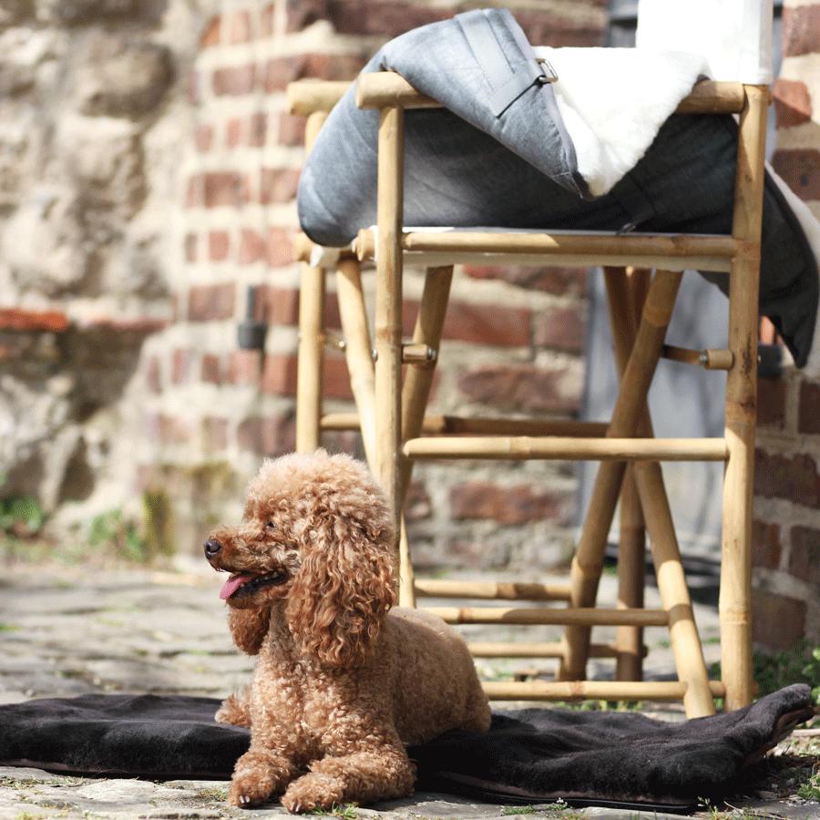 Maybach Hundedecke The Dog's Domain I