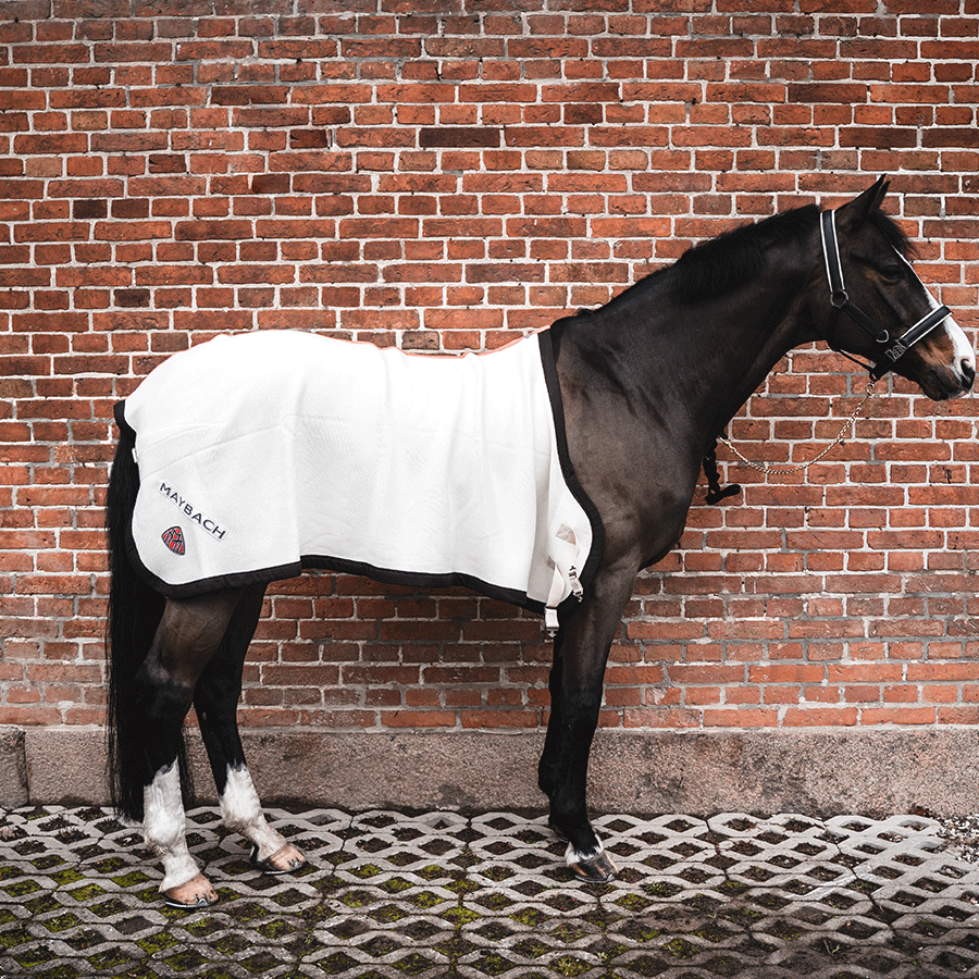 Abschwitzdecke Merinowolle Maybach