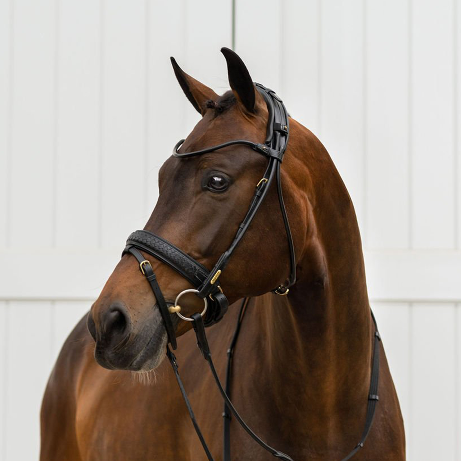 Utzon Equestrian  Trense Olympic geflochtenes Leder, Luxus Trense, Zaumzeug, Reithalfter