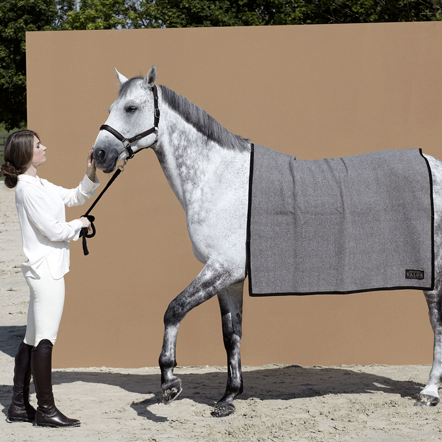 Manifattura Valor Plaid Terlan