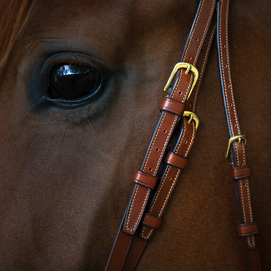 Utzon Equestrian Trense Belmond