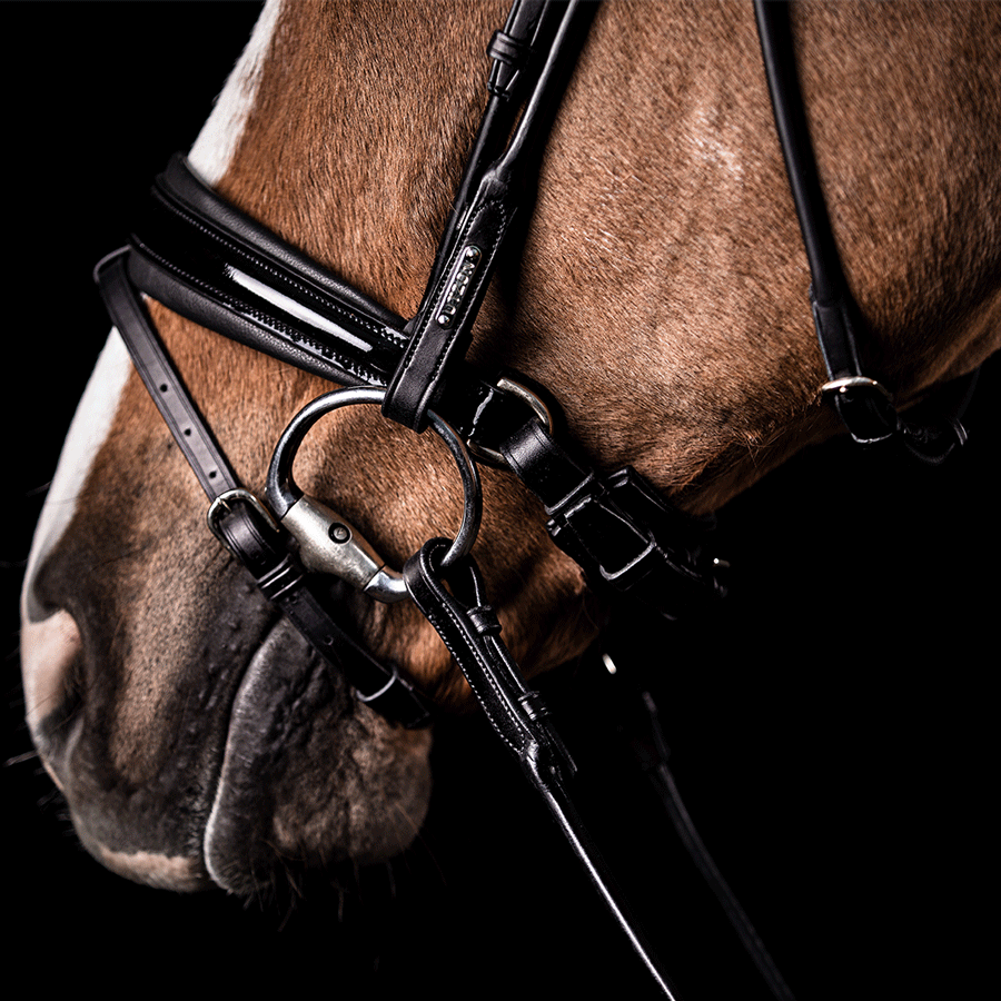 Utzon Equestrian Trense Edinburgh