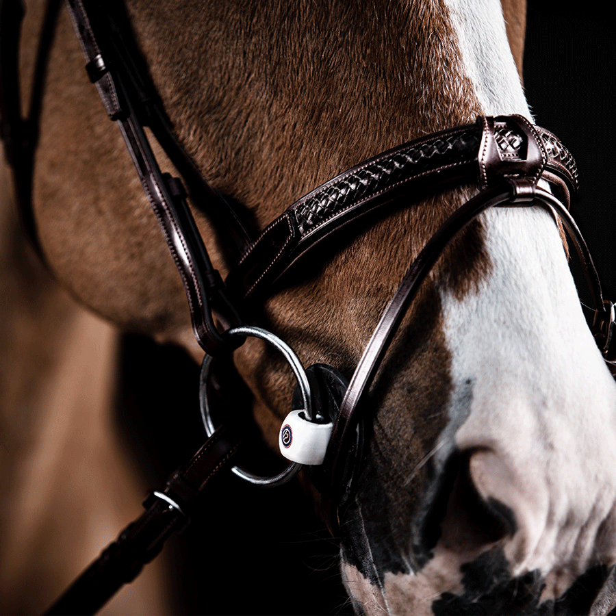 Utzon Equestrian Trense Grand Prix