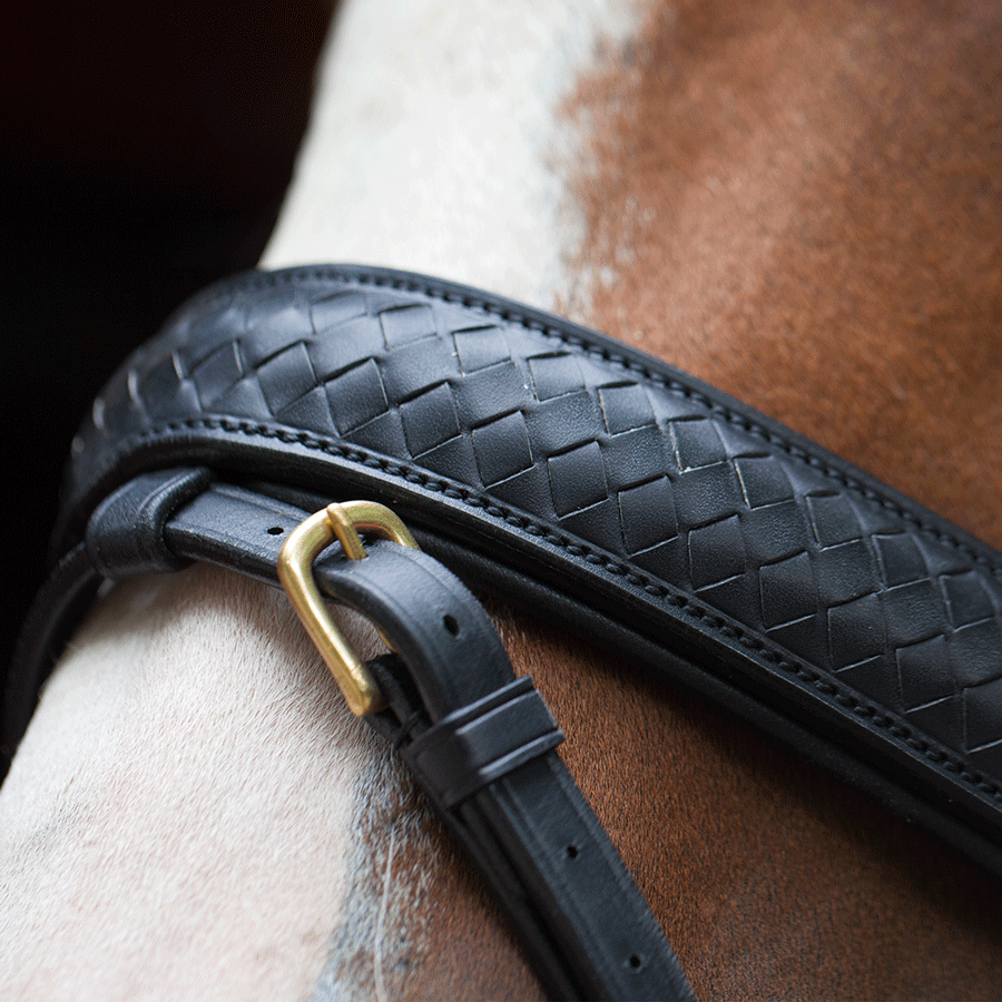 Utzon Equestrian Trense Olympic