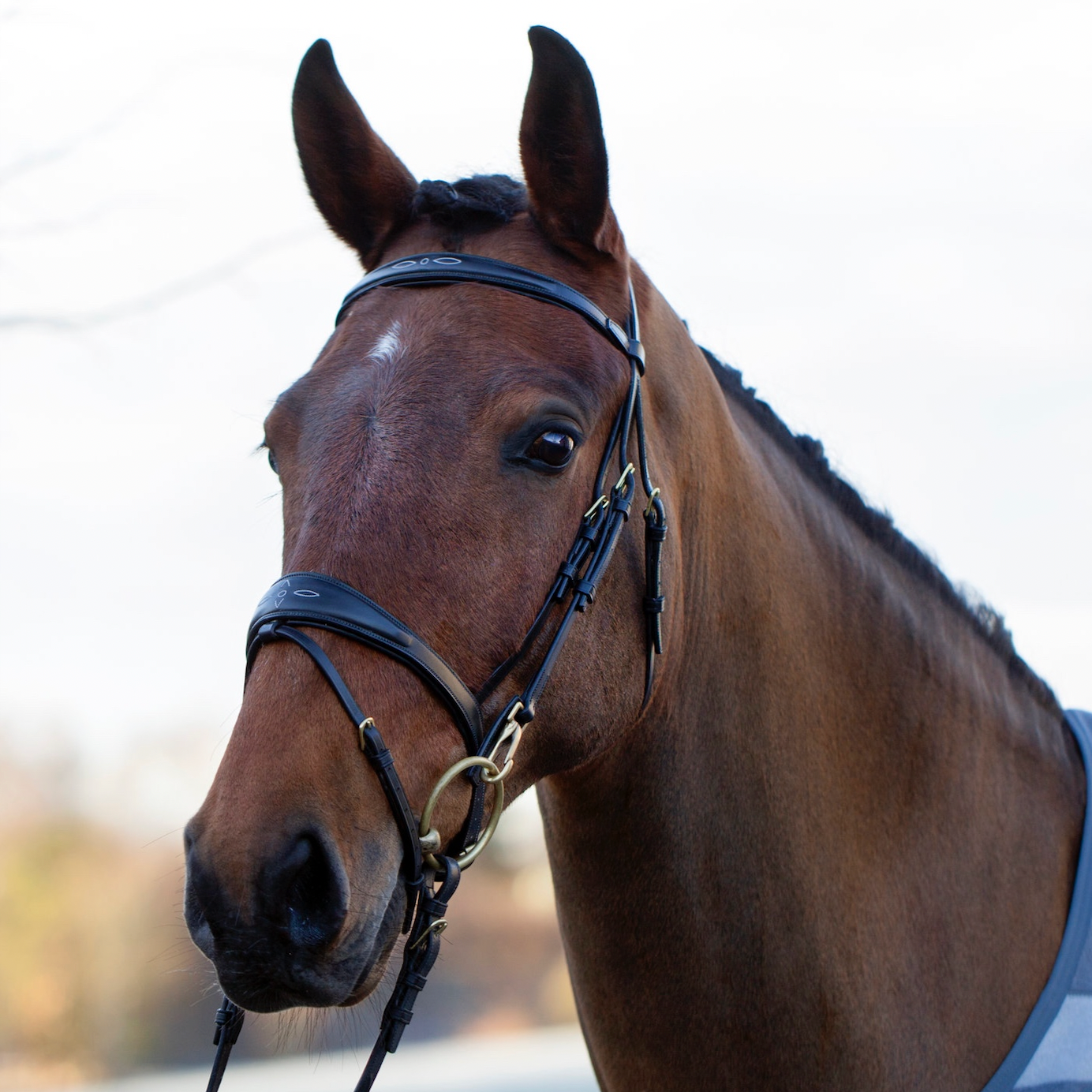 Utzon Bridle Belmond Leder schwarz black