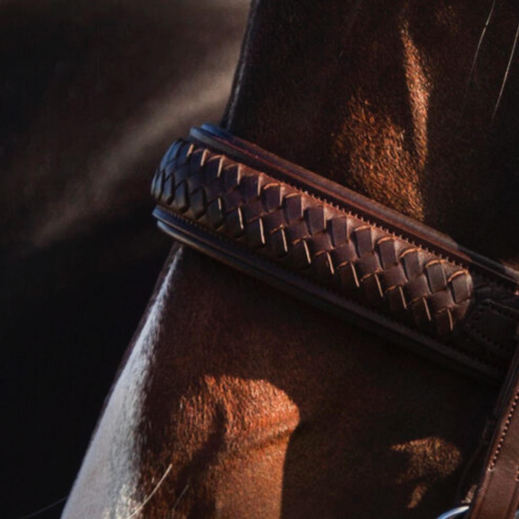 Utzon Equestrian Trense Olympic braun