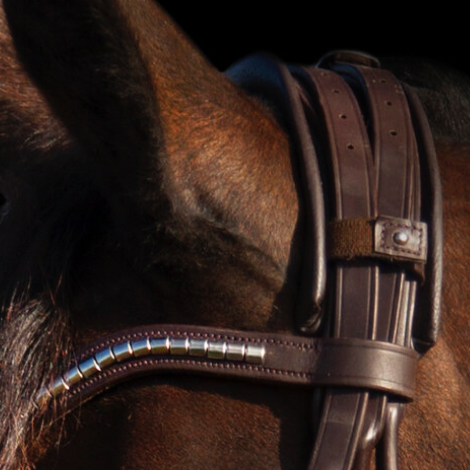 Utzon Equestrian Trense Olympic braun