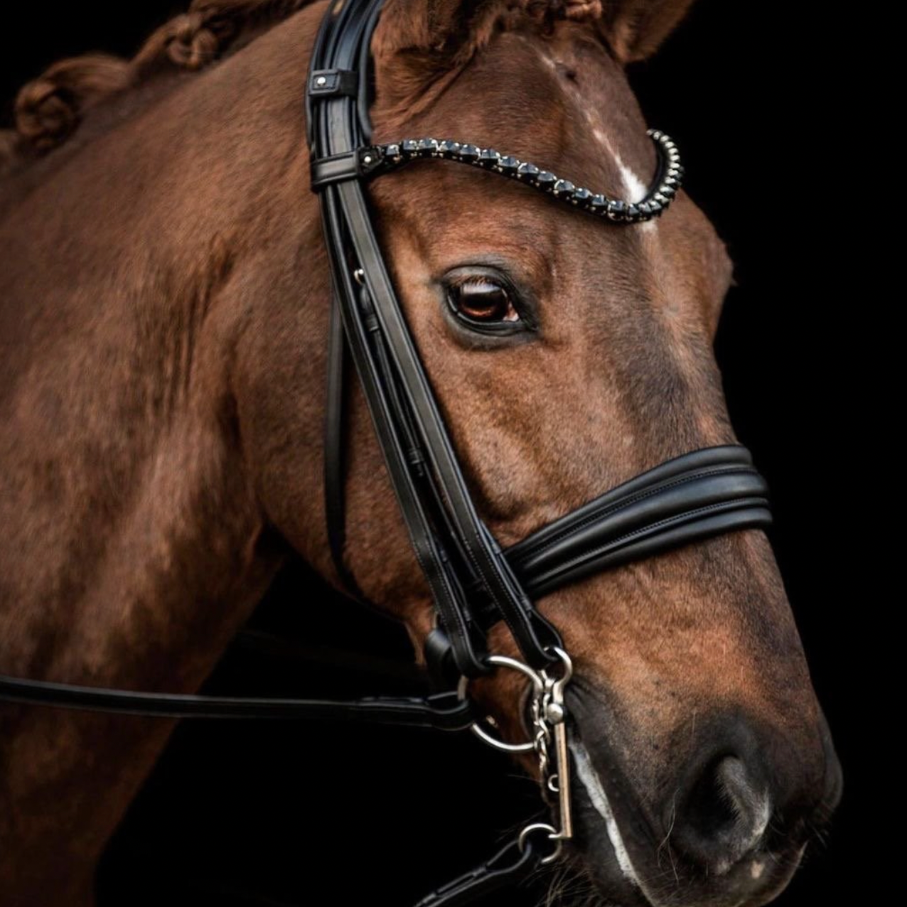 Utzon Equestrian London double bridle 