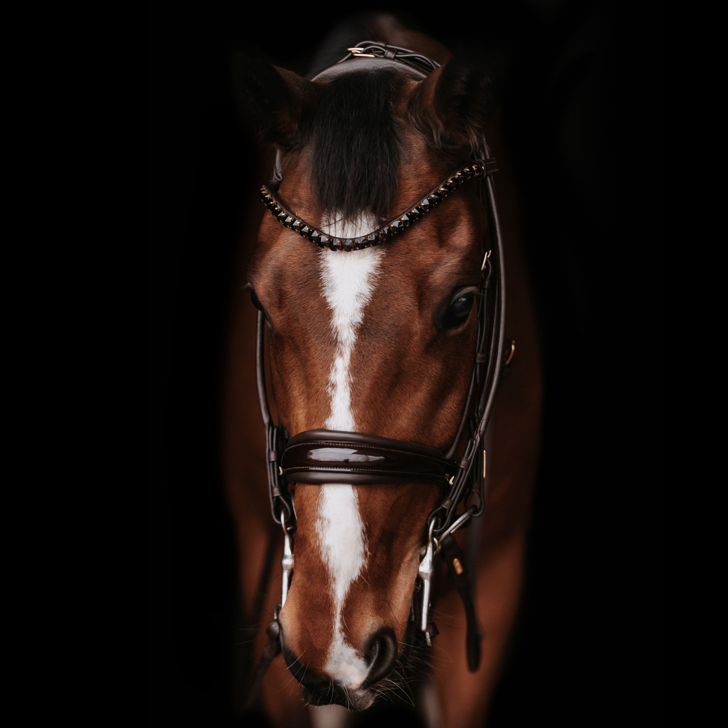 Utzon Equestrian Kandare Edinburgh schwarzes Leder Trense Luxus Zaumzeug, Pferdezaum