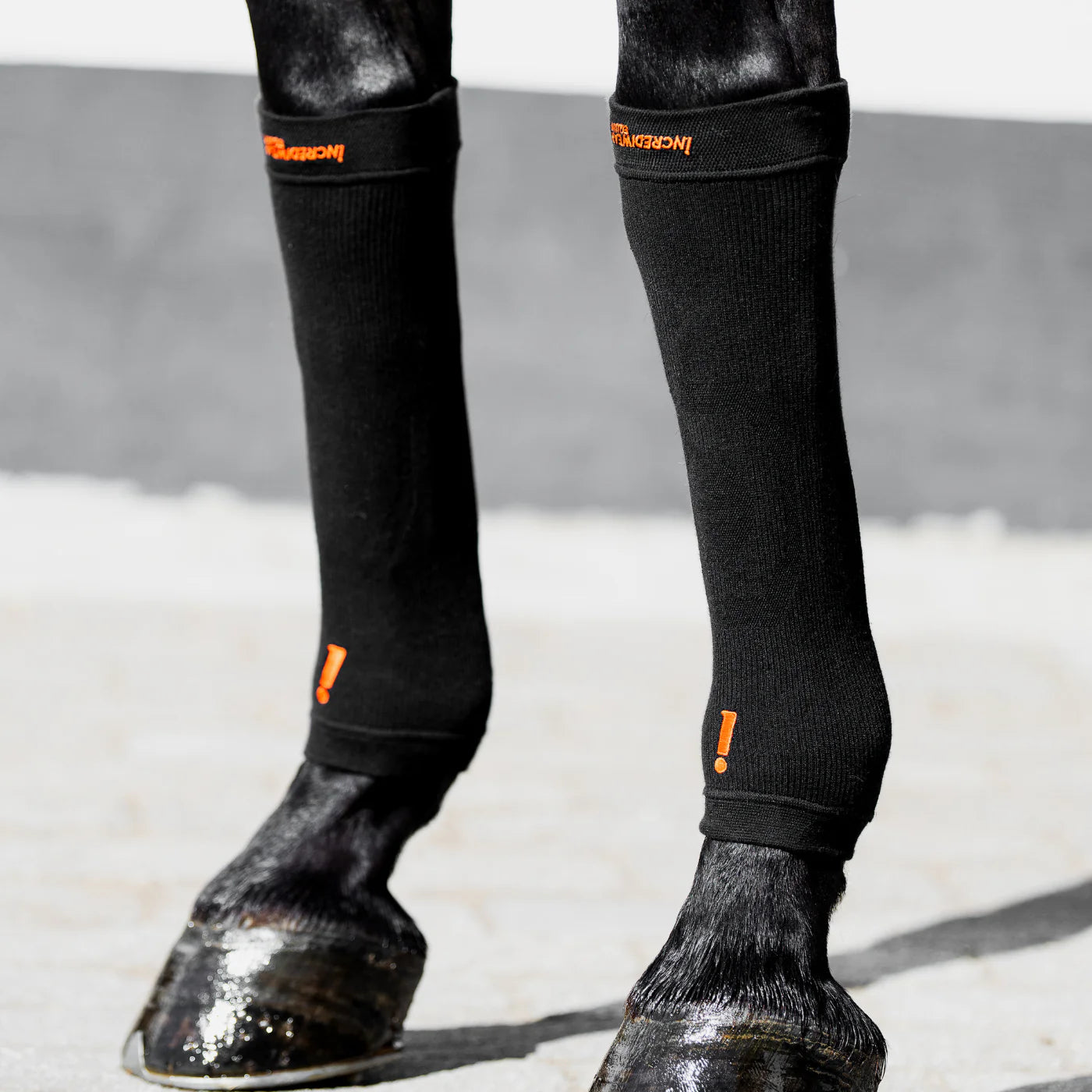 Incrediwear Equine Hoof Socks schwarz