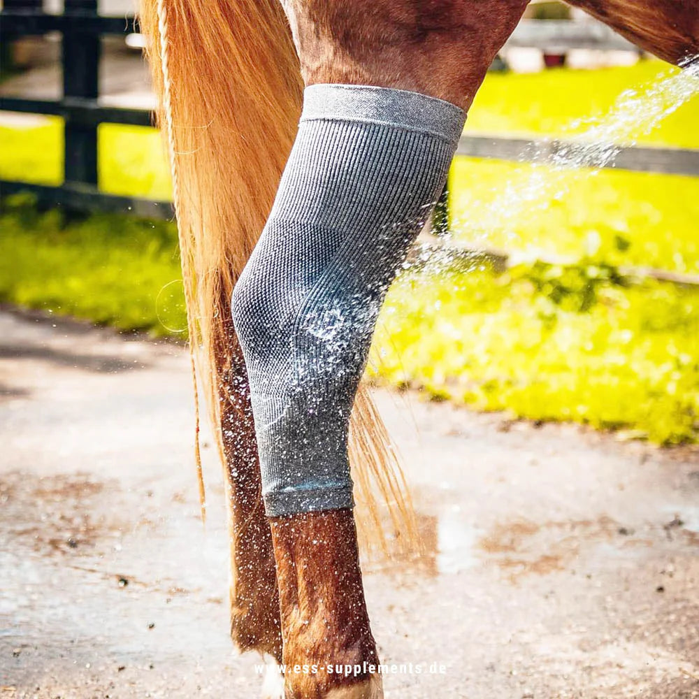 Incrediwear Equine Hoof Socks grau