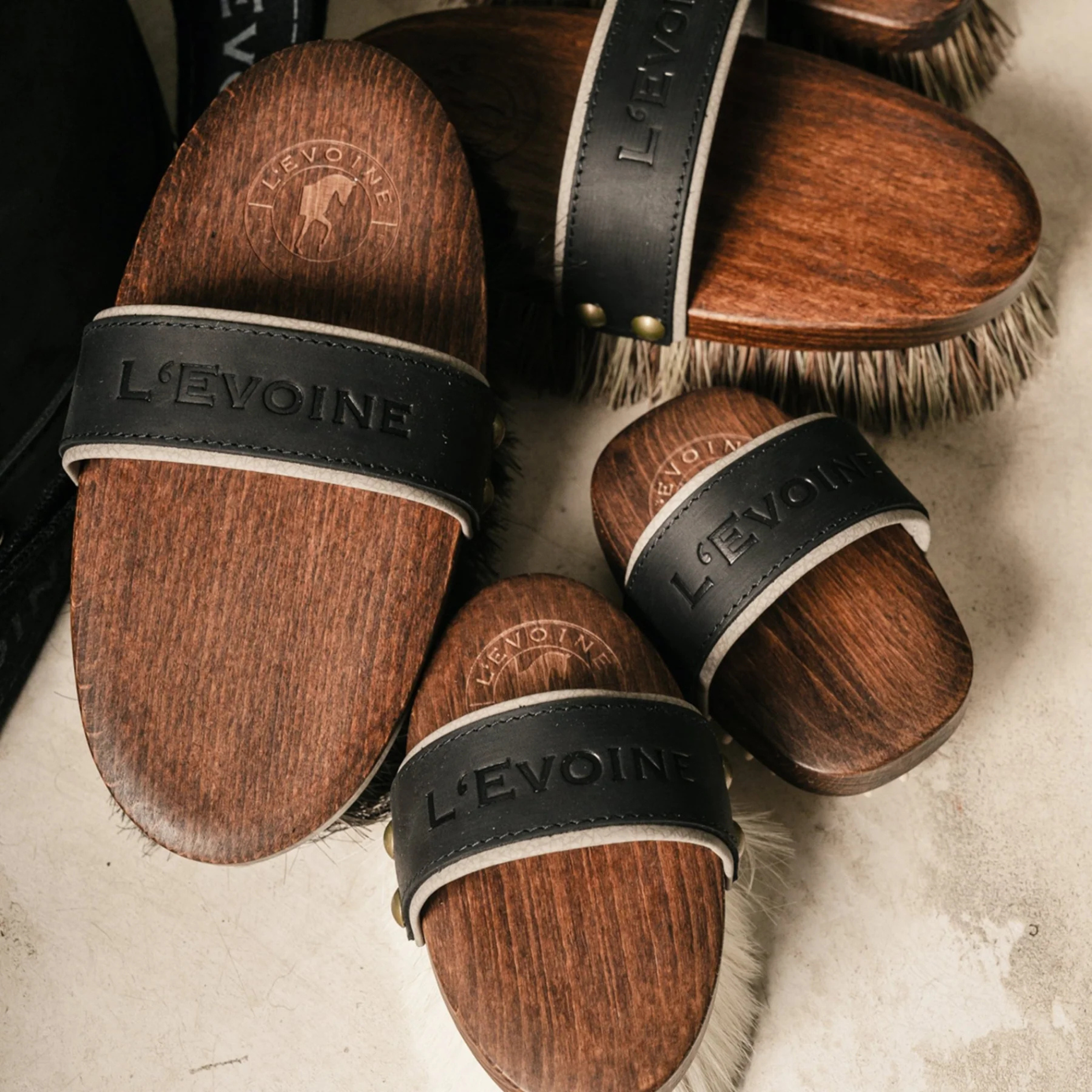 L'Evoine Pferdebürsten Set charcoal schwarz