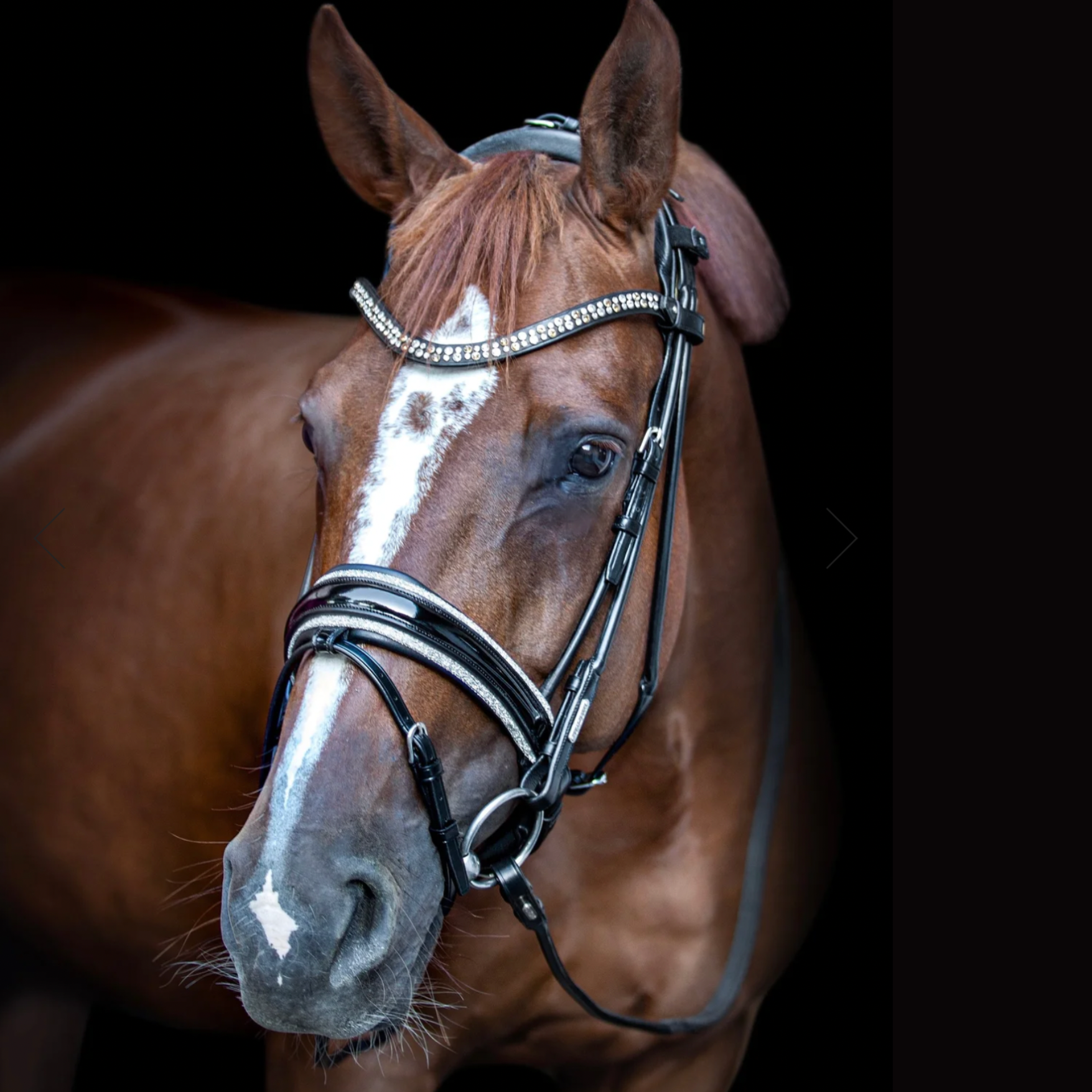 Utzon Equestrian Miami Bridle