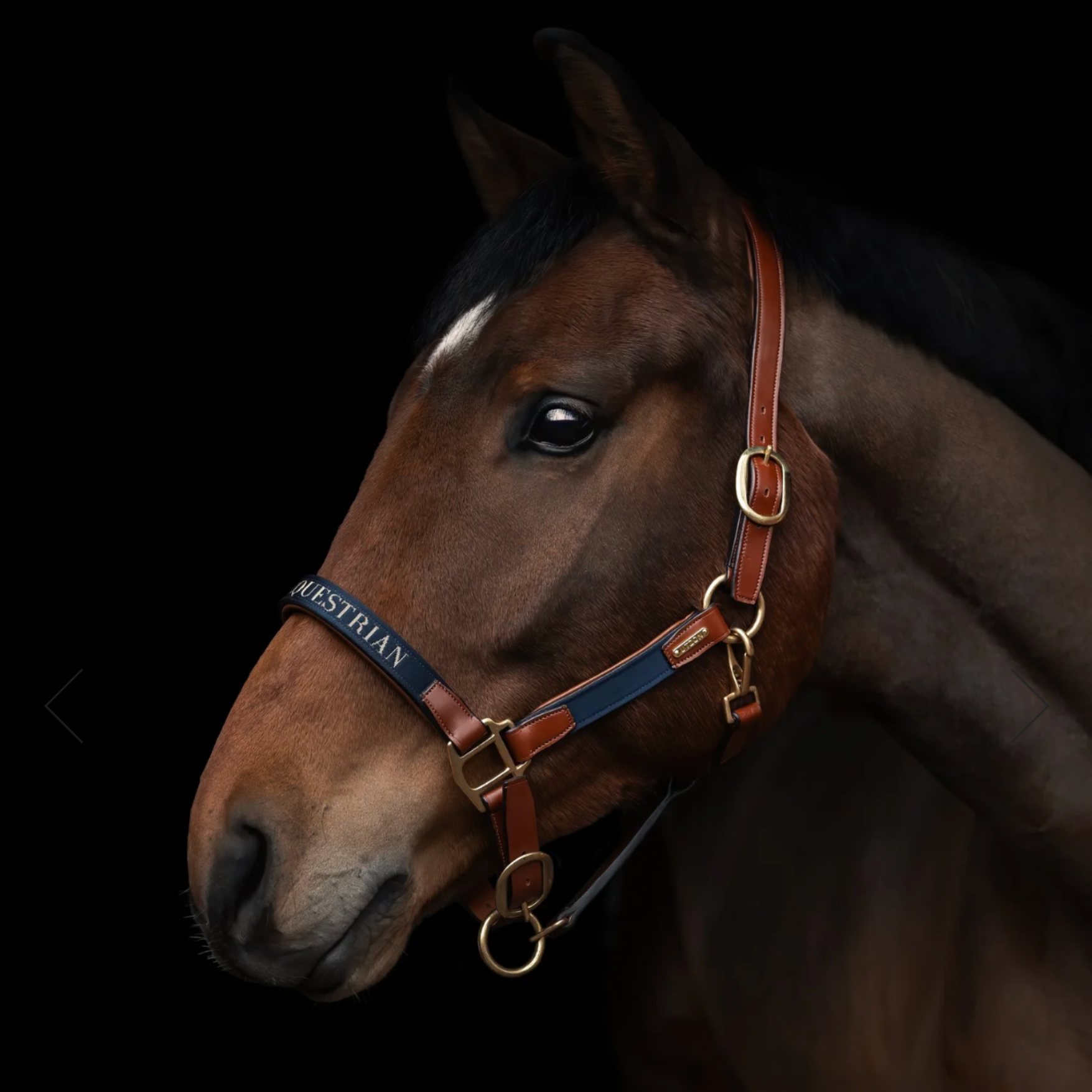 Utzon Equestrian Halfter Paris