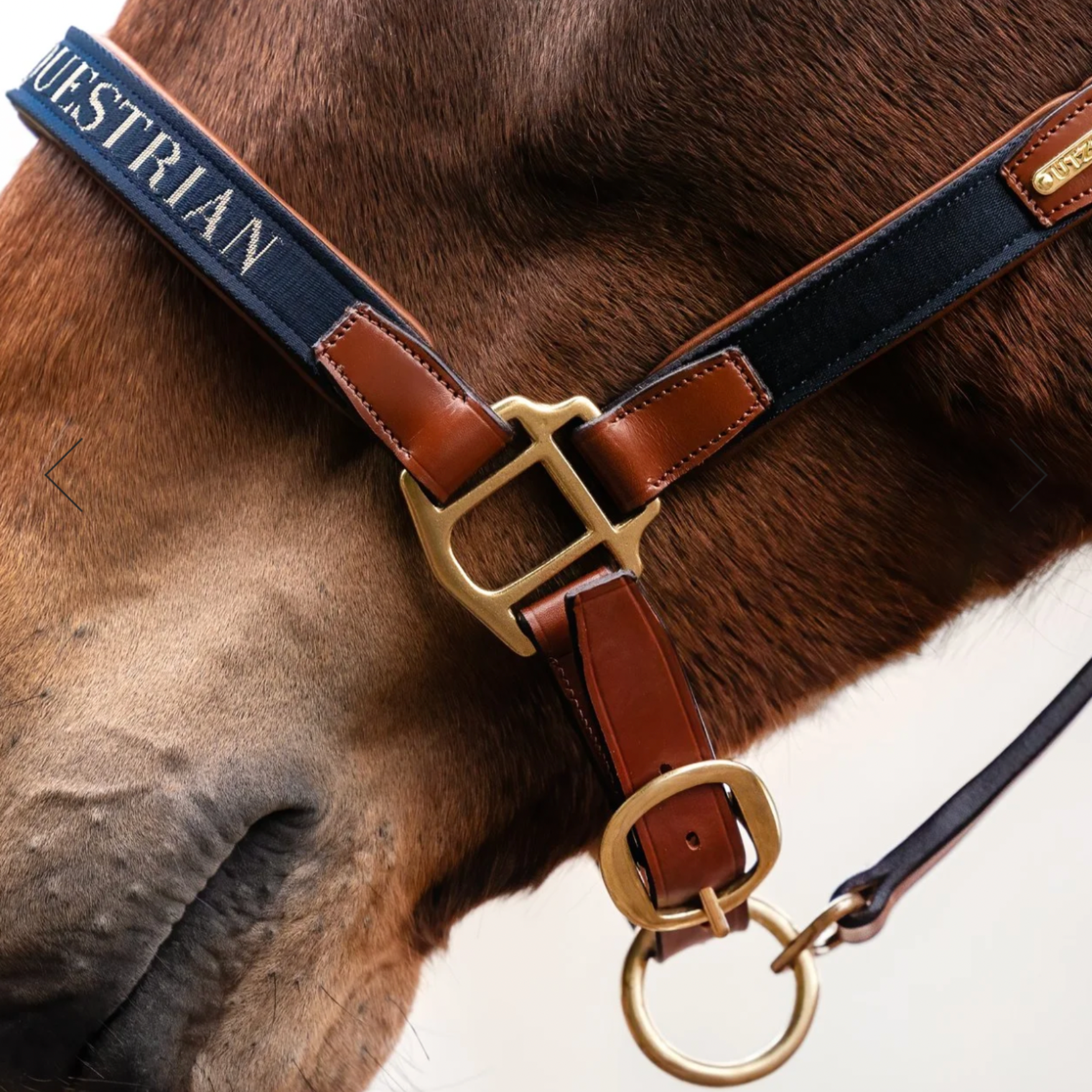 Utzon Equestrian Halfter Paris