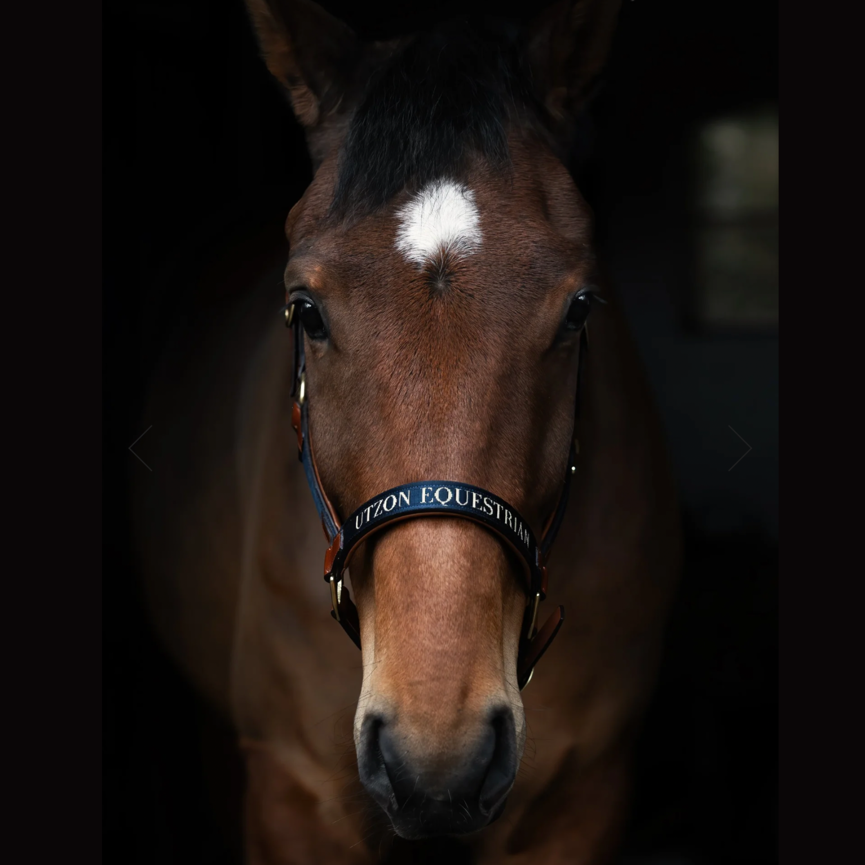 Utzon Equestrian Halfter Paris