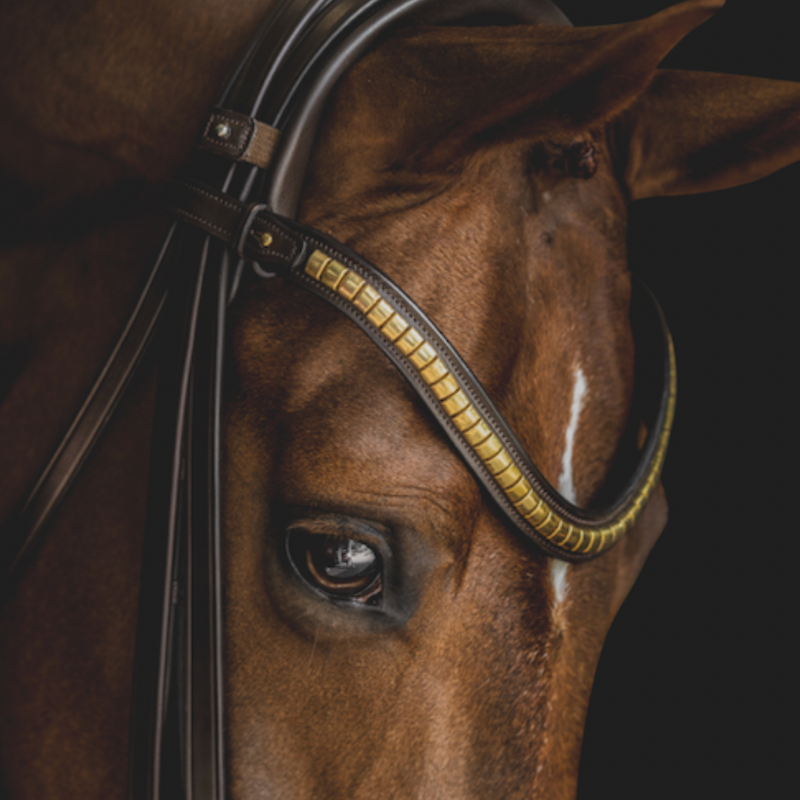 Utzon Browband mit Nieten