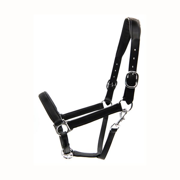 Equinetree Halfter veganes Leder Apfelleder schwarz