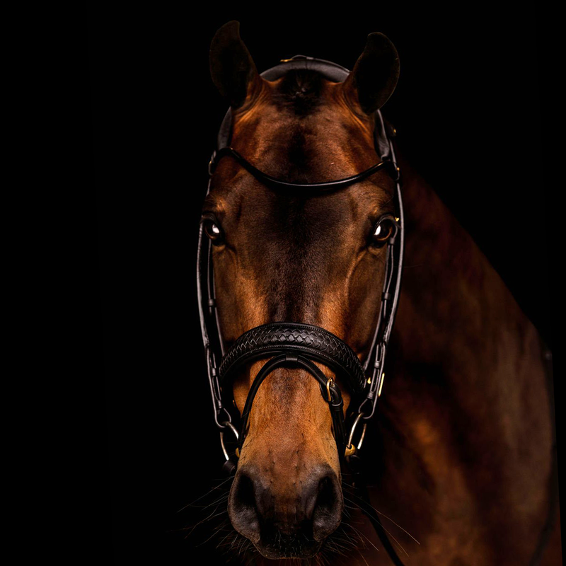 Utzon Equestrian  Trense Olympic geflochtenes Leder, Luxus Trense, Zaumzeug, Reithalfter