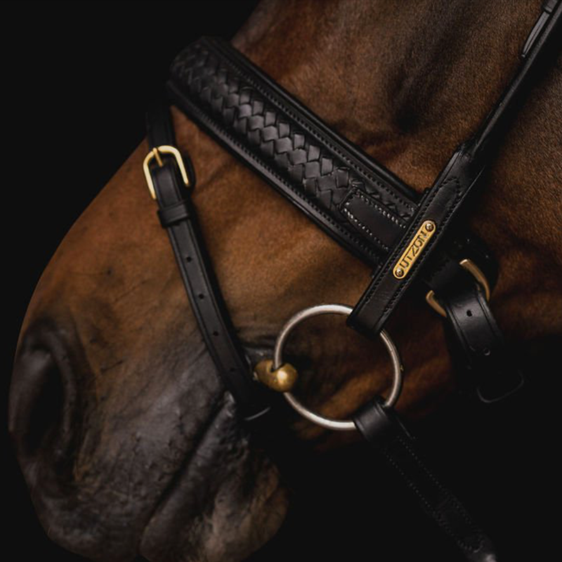 Utzon Equestrian  Trense Olympic geflochtenes Leder, Luxus Trense, Zaumzeug, Reithalfter