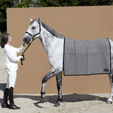 Manifattura Valor Plaid Terlan